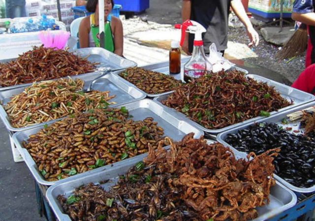 食用昆虫一直是人类饮食的一部分,通常消费作为食物来源在世界的许多地区。据估计,目前有二十亿人食用昆虫作为饮食的一部分。