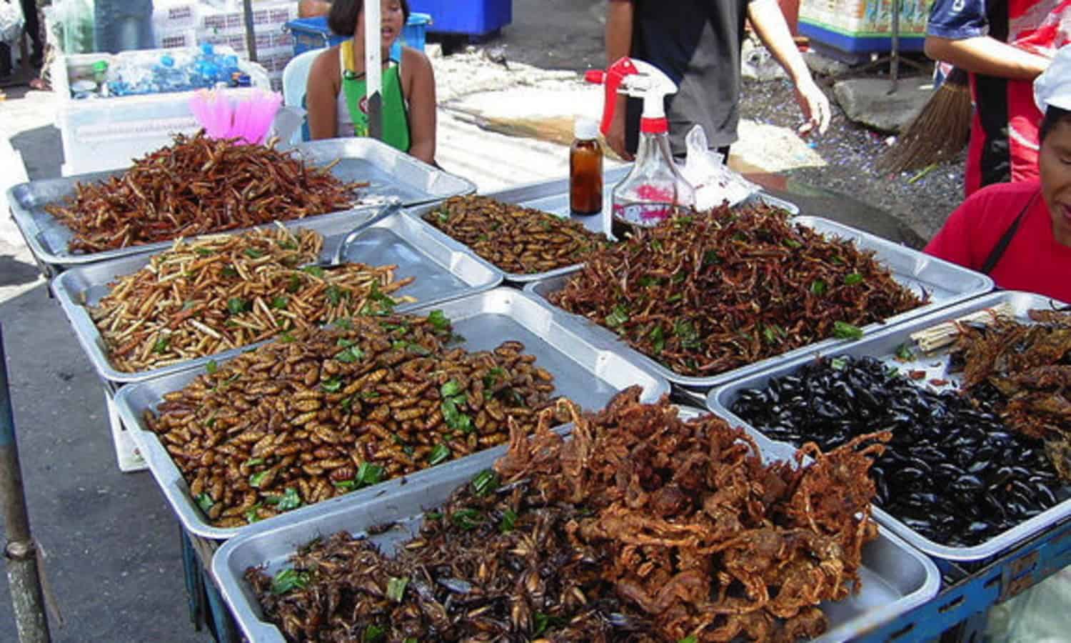 食用昆虫一直是人类饮食的一部分,通常消费作为食物来源在世界的许多地区。据估计,目前有二十亿人食用昆虫作为饮食的一部分。
