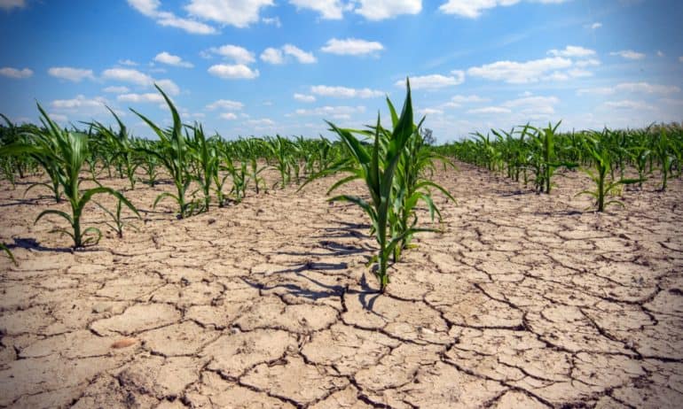 苏打灰中心第二季度报告强调可持续农业的重要性。