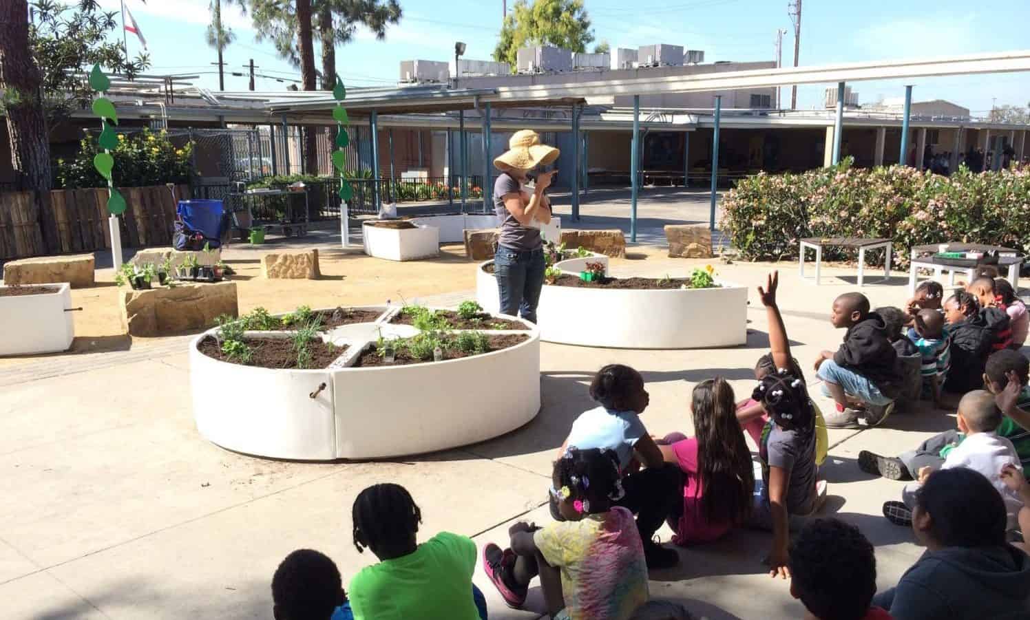 小学学生聚集在学校花园学习如何种植他们自己的食物。