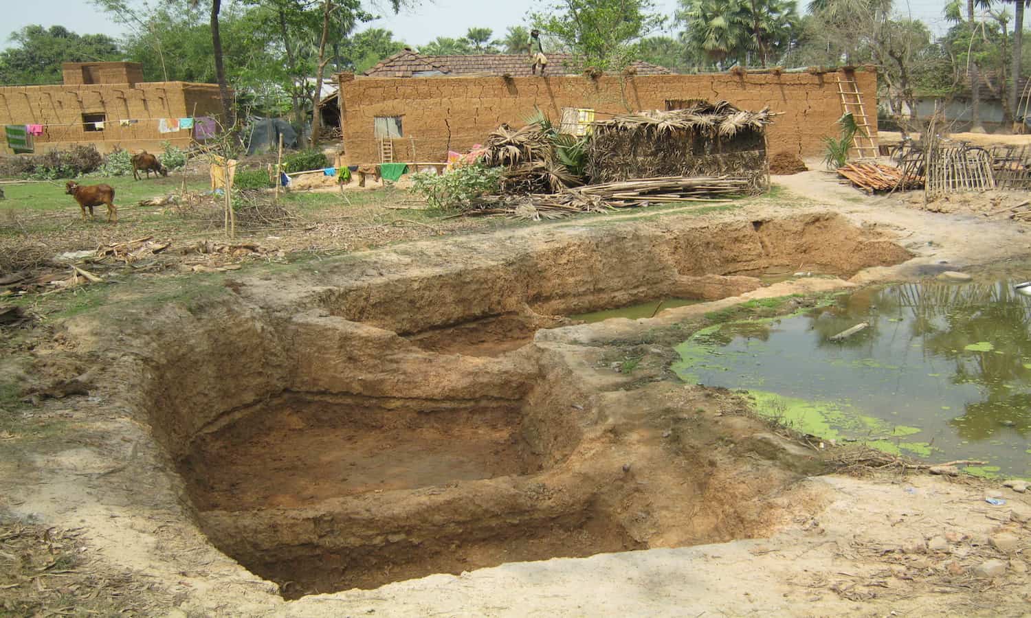 Rajadighi社区卫生服务社会的Doba生计项目正在帮助印度农民应对气候变化通过节约用水。