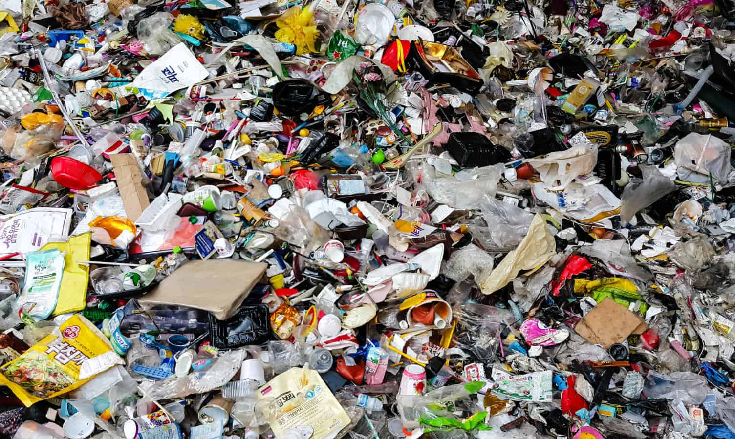 伊丽莎白巴尔干重塑卫生部门在解决问题中所起的作用,减少废物和管理。