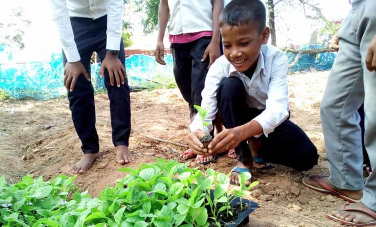 播下种子可持续发展:从每周培训小组讨论与未来agripreneurs西北部的柬埔寨。
