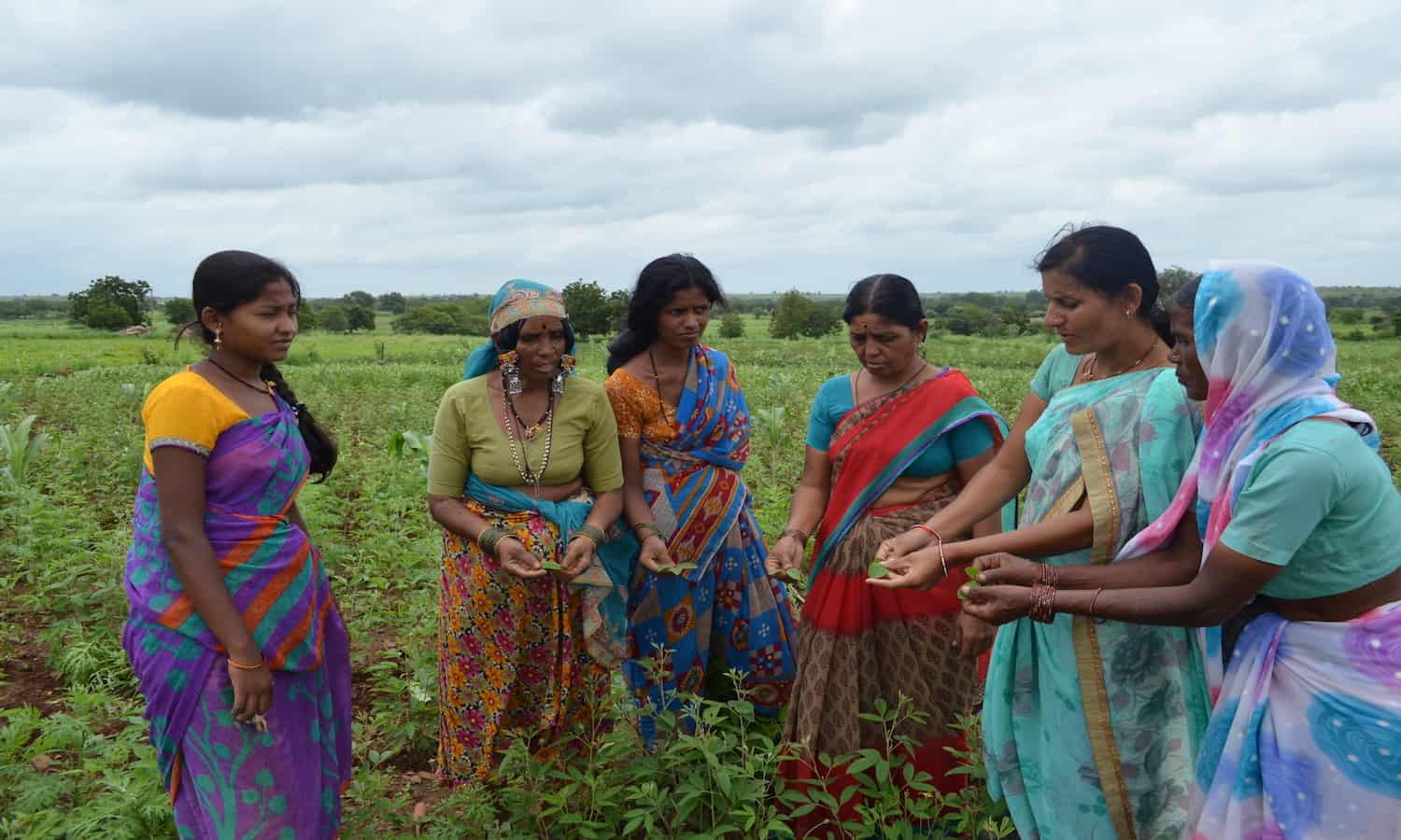 女性农业模式赢得了2017年联合国赤道奖
