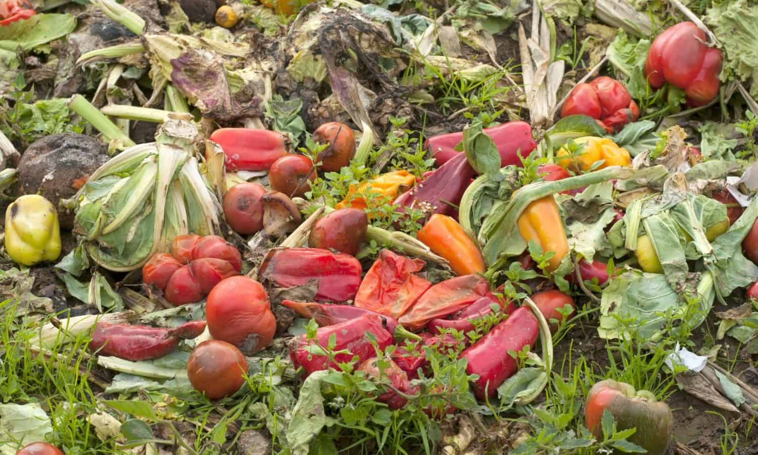 美国自然资源保护委员会的最新食品垃圾报告突显出消费者的最大浪费食物在整个食物链。
