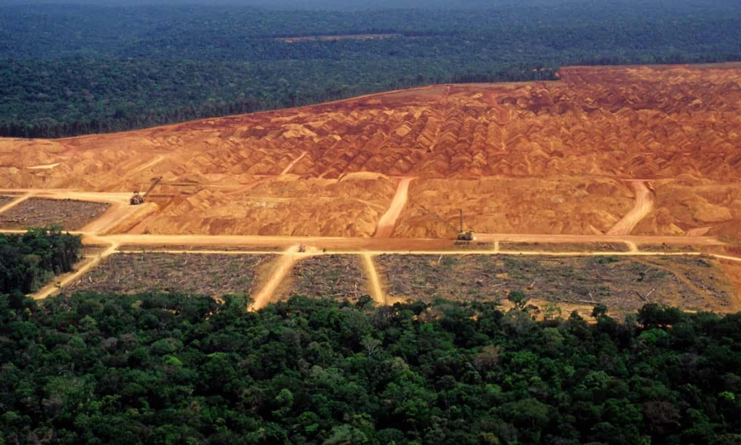 新调查系列印度尼西亚出售强调了政策制定者之间的联系,私营部门,在印度尼西亚和森林砍伐。