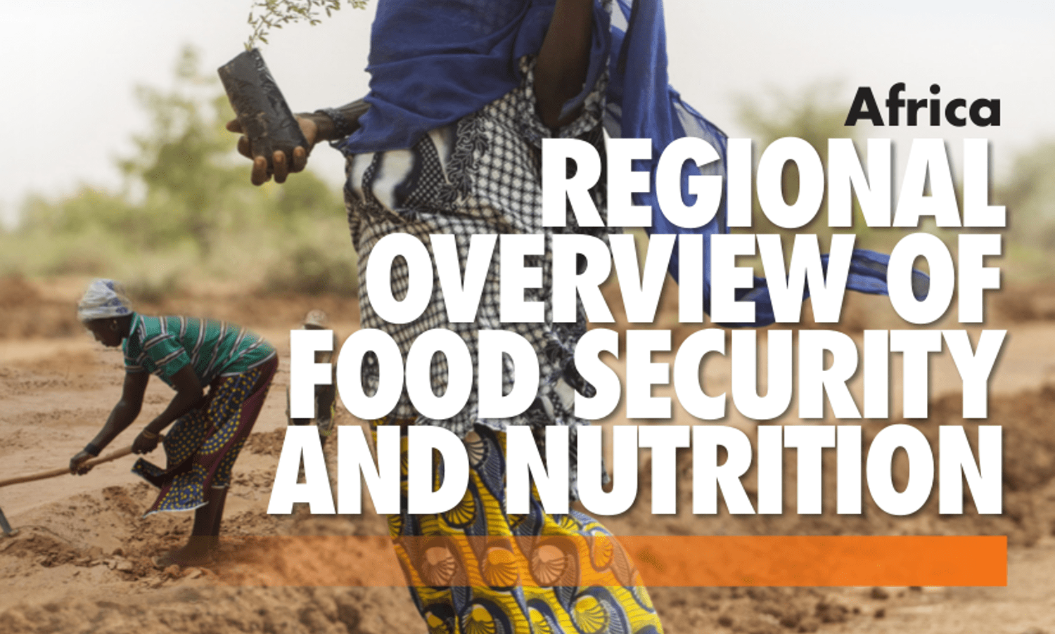 一份新的报告由联合国粮食及农业组织显示饥饿在撒哈拉以南非洲地区由于冲突激增和气候变化。