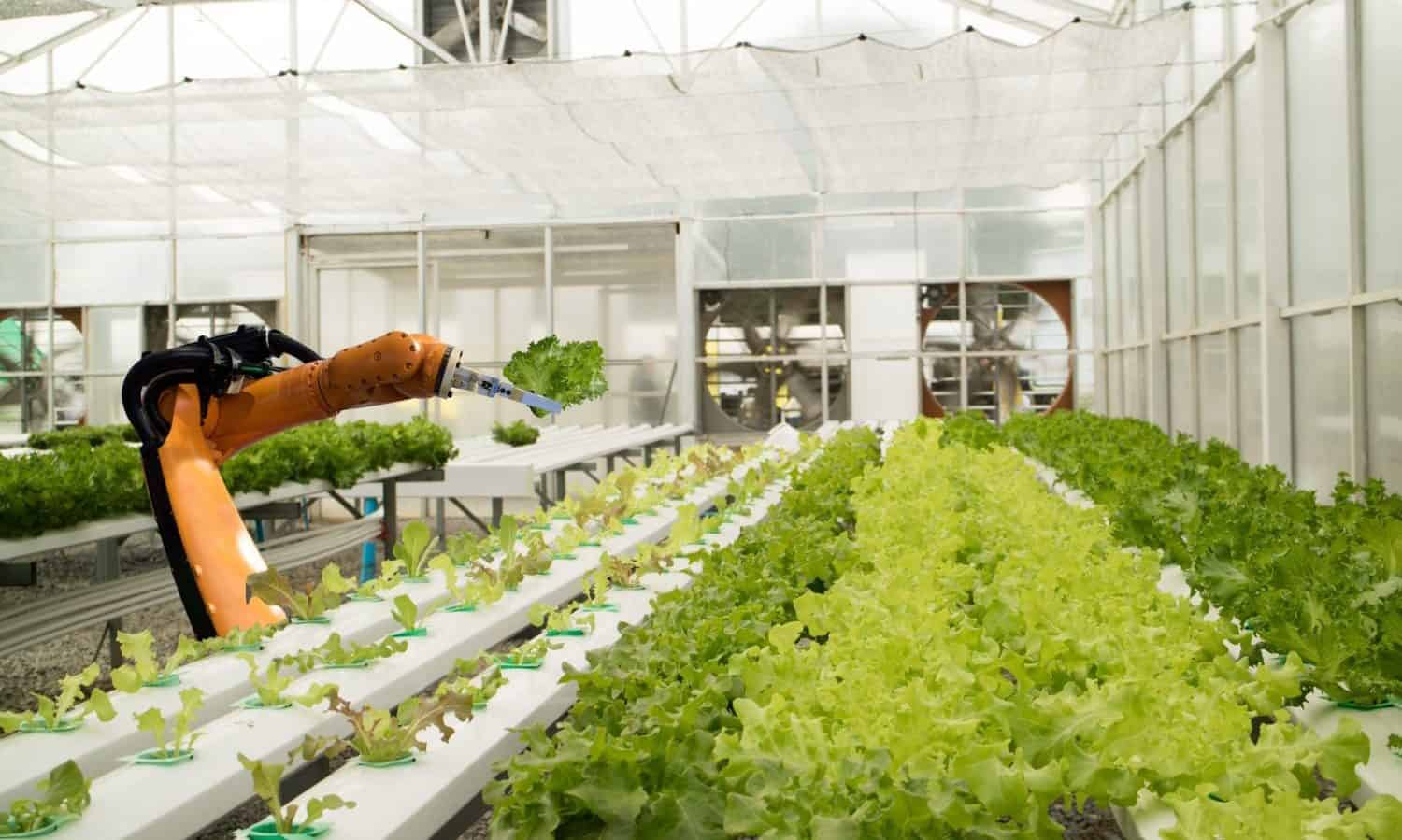 人工智能能够拯救我们的食物系统吗?当应用于农业,AI可能优化产量,大大提高农场规划,优化资源,防止浪费。
