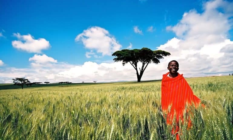 糙斑Ezeanya-Esiobu TEDGlobal谈讨论了非洲传统知识的价值构建可持续农业实践。