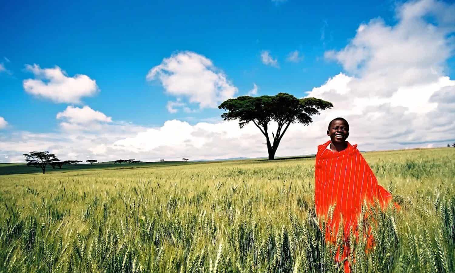 糙斑Ezeanya-Esiobu TEDGlobal谈讨论了非洲传统知识的价值构建可持续农业实践。