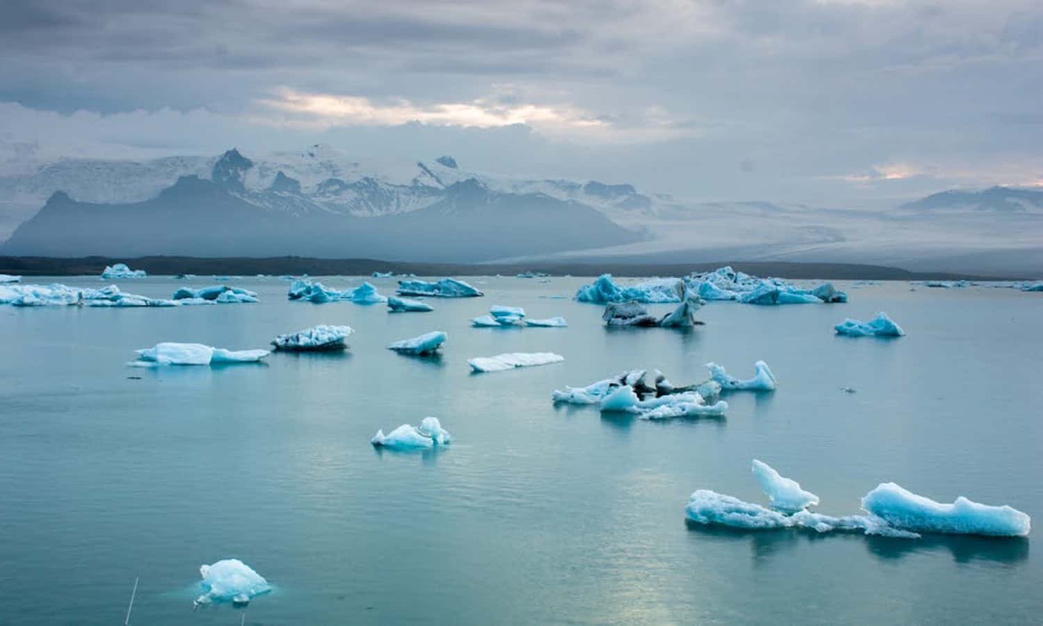 对环境有一个故事吗?把它变成一个自由前往阿拉斯加与地球的内部通道前进!