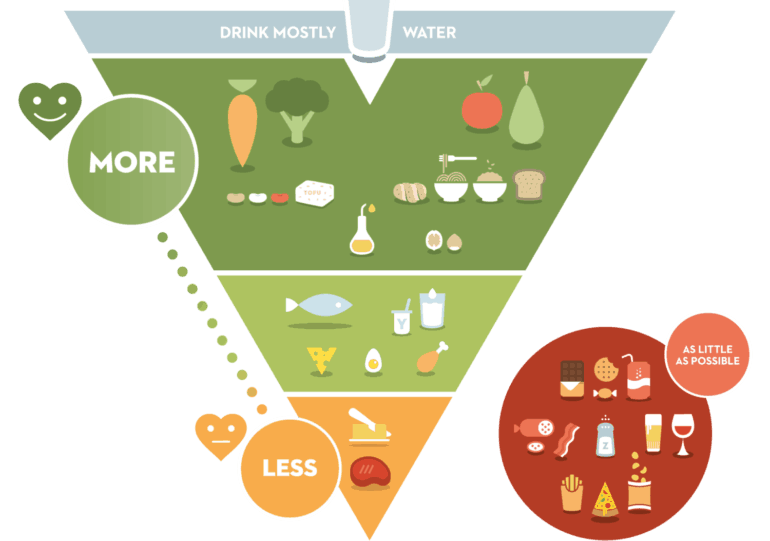 比利时的佛兰德研究所健康生活环境更好的营养和健康生活的基调与创新型倒食物三角模型。