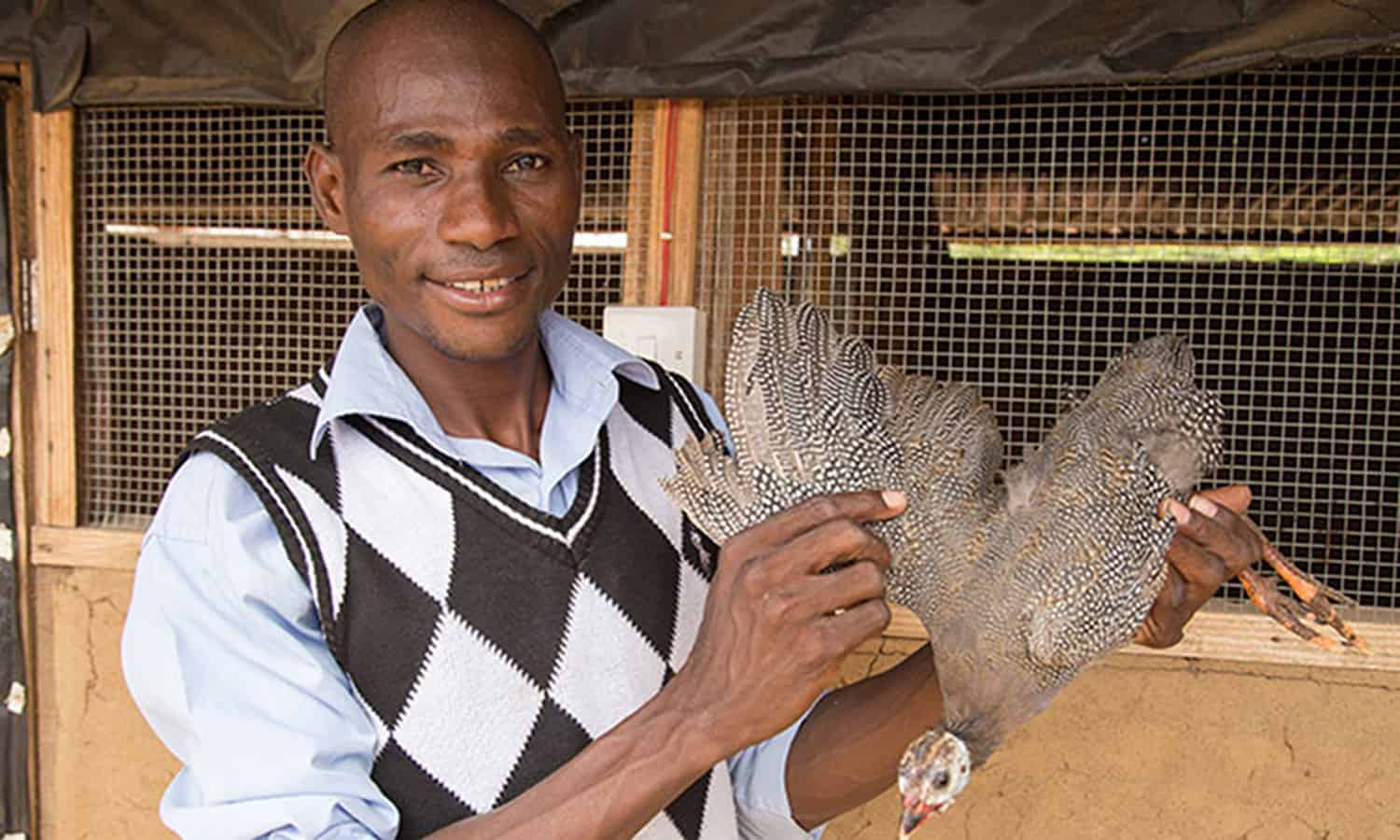 马拉迪的红色山羊和珍珠鸡是改善家庭的生活在西非农民和穷人提供更好的营养和工作机会
