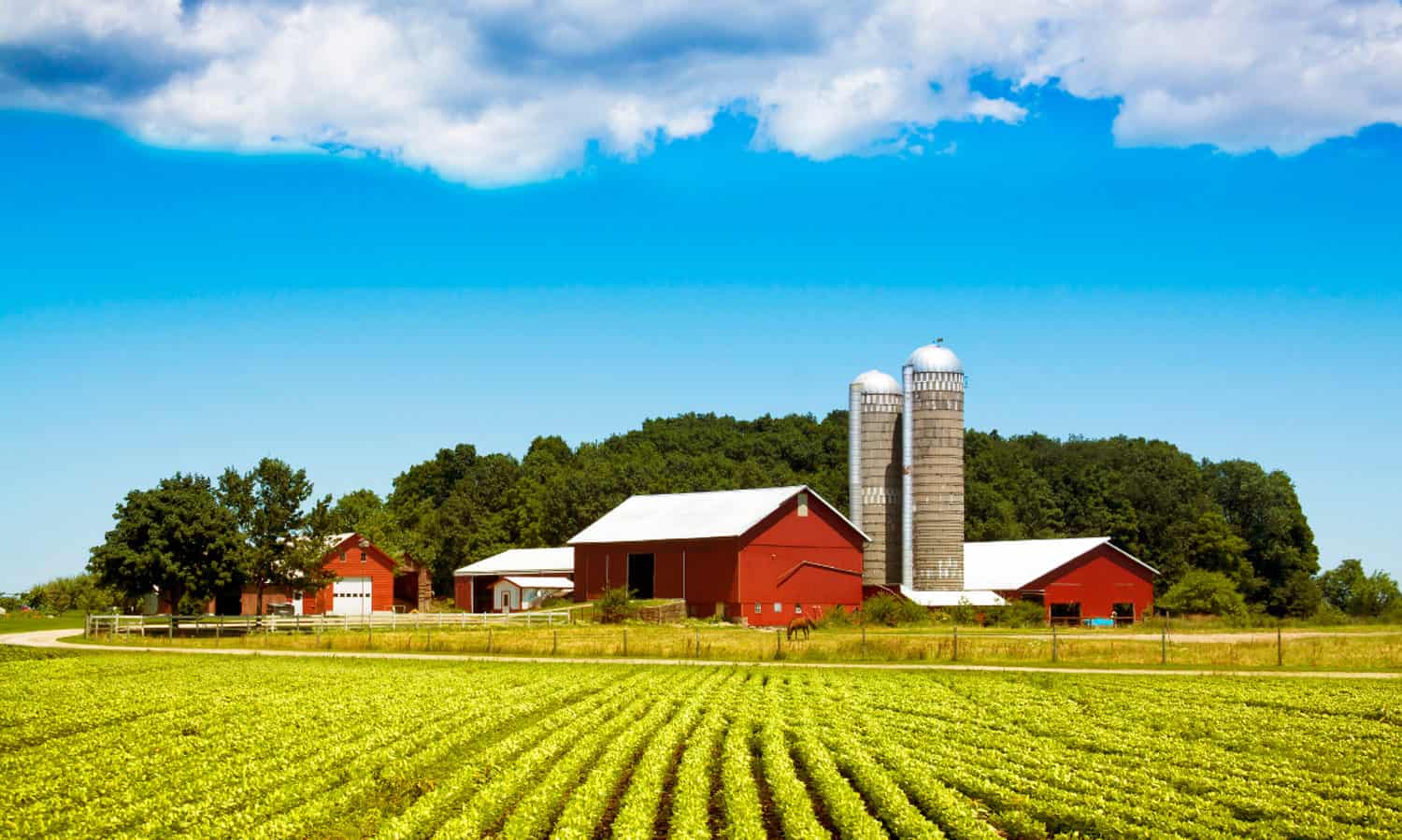 农业法案是一个巨大的、综合的一项立法,规定每年870亿美元向国家食品和农业政策。国会必须确保今年的农业法案建立一个可持续的、健康的未来。