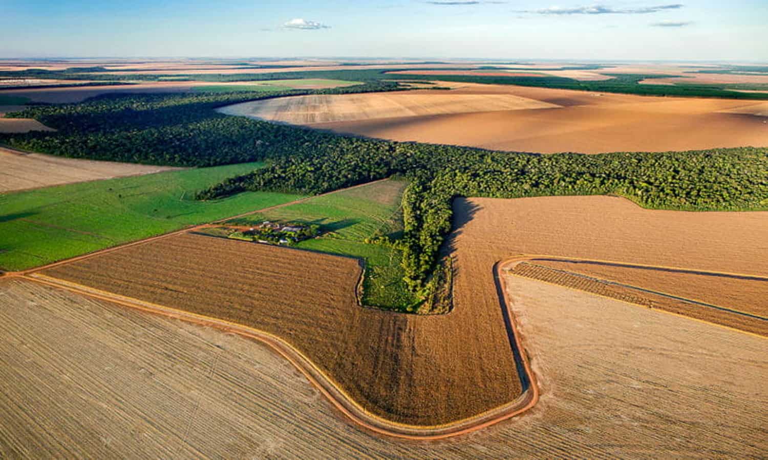 领土情报达到了新的高度，以帮助巴西的大豆行业避免森林砍伐并可持续扩展。
