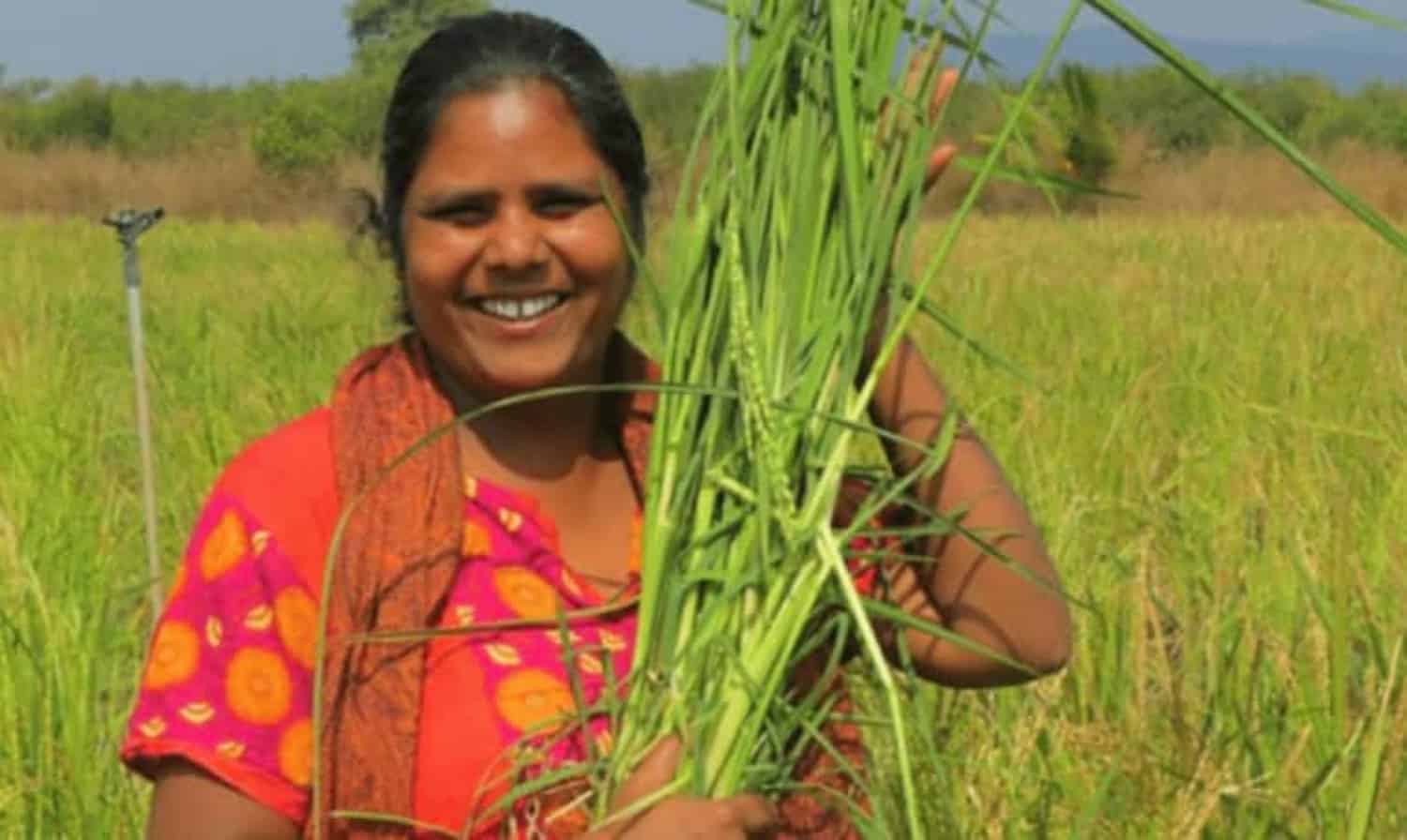 赢家再生有机农业种植前的农业生态学和奖学金2018年农业生态学增加女性的机会。