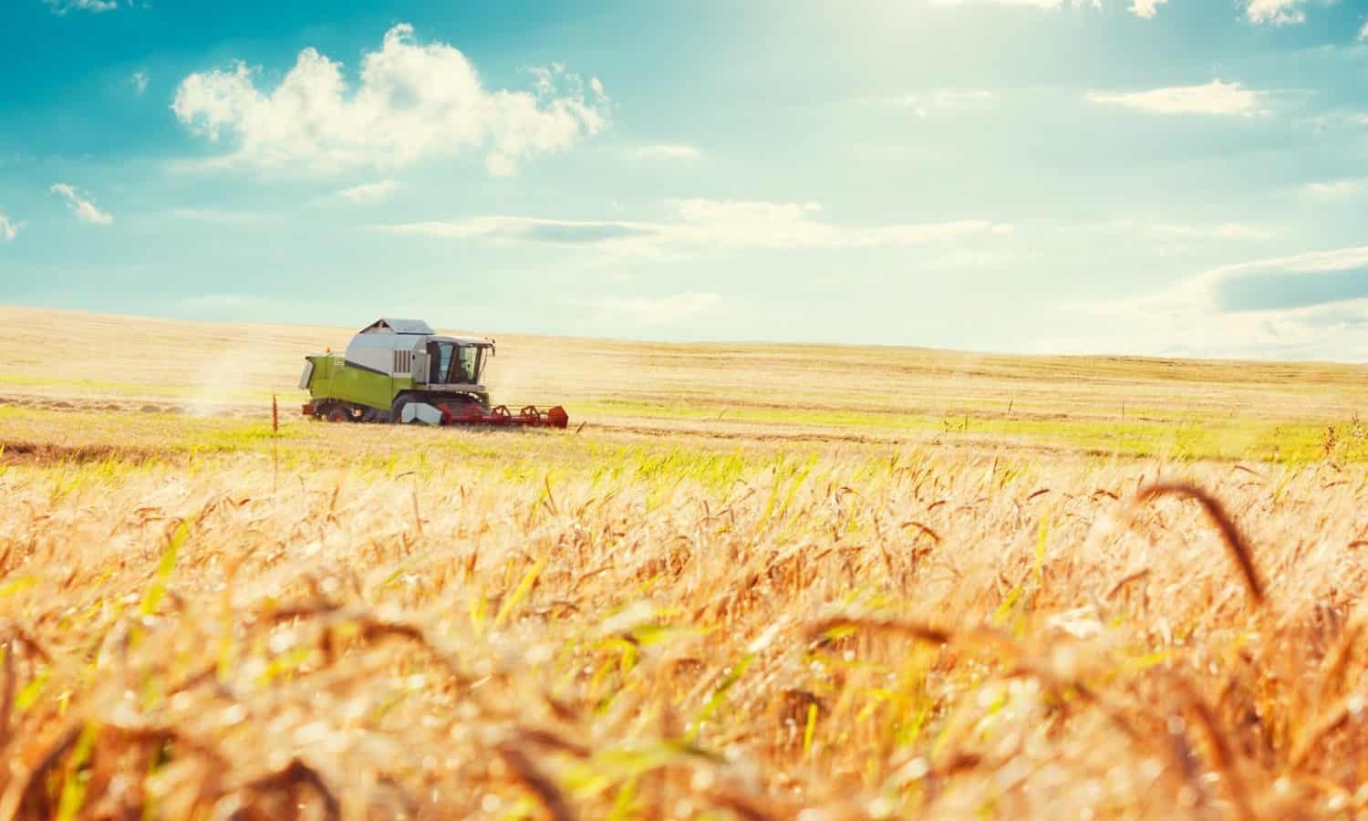 农场法案今年将再次续签。了解这项大规模立法如何影响营养，农业经济和环境，以及好粮食倡导者可以做些什么来提供帮助。