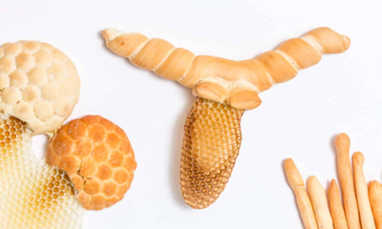蜂蜜手指，激进主义者的艺术项目通过Honeycomb的安装艺术，诗歌和风土瓶装的蜂蜜来保持养蜂的古老技术。