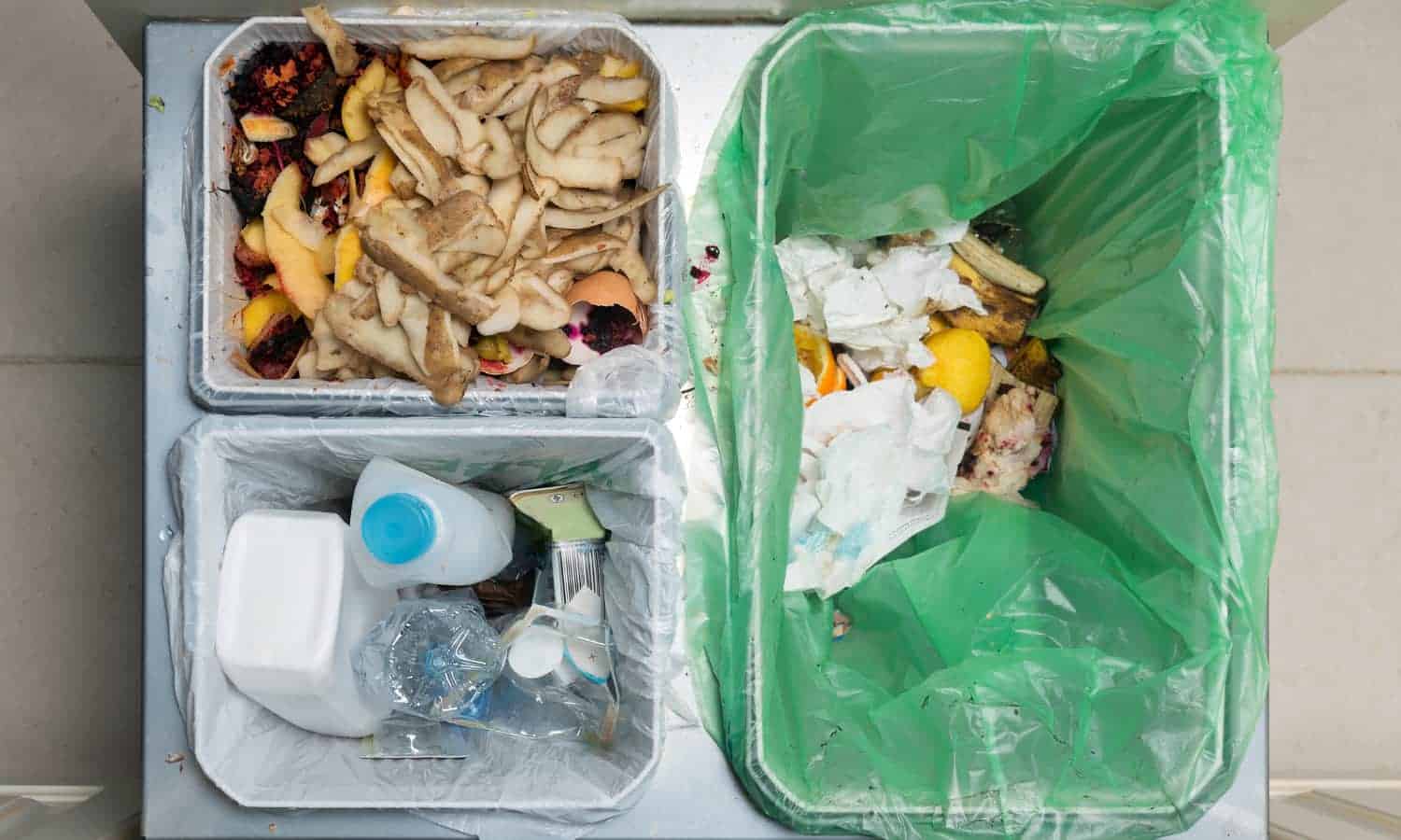 在峰会的准备阶段10月3日食品罐强调27个组织在纽约关注食物损失和浪费。w88优德老虎机平台