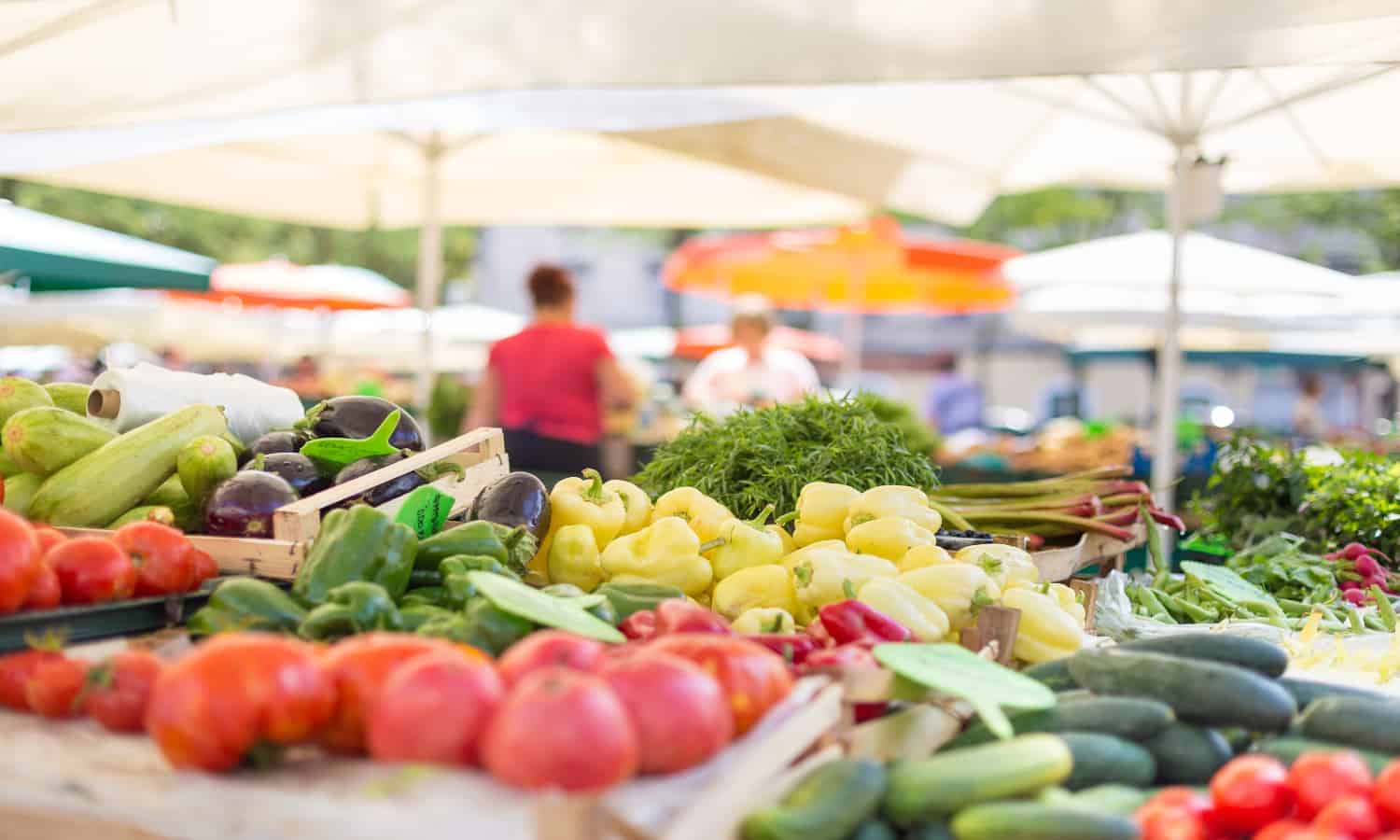 根据开创性的新报告，食品系统的经济影响不仅仅是您在超市花费的美元。