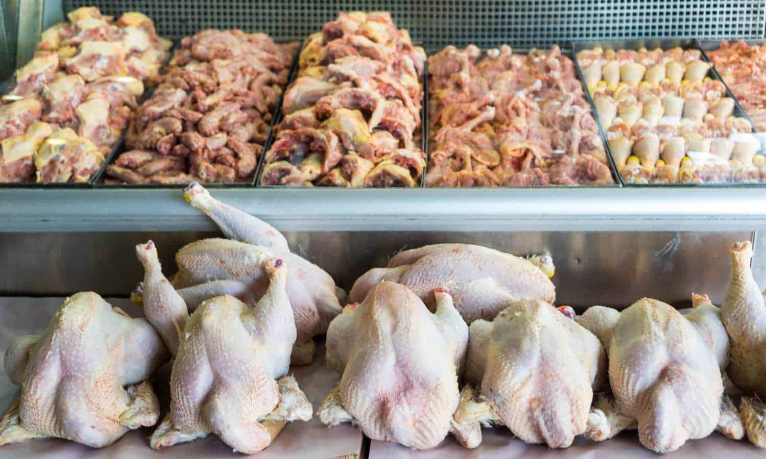 在肯尼亚内罗毕，一家小公司使低收入家庭更容易通过简单的创新来获得足够的饮食蛋白质：出售单个鸡肉而不是整只鸟。