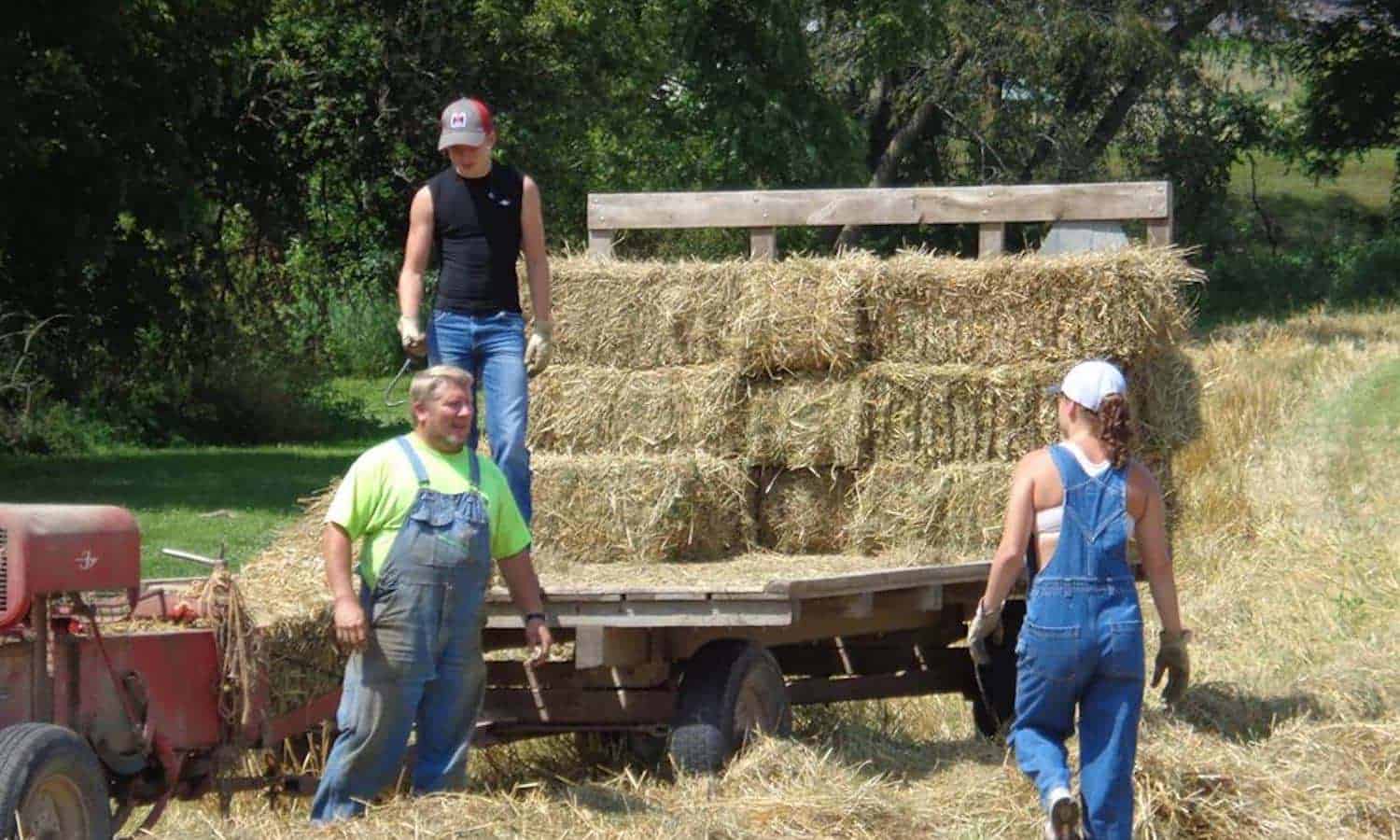 一个爱荷华家庭农田转换他们的曾祖父曾经拥有,开始一个新的可持续发展实践的传统。