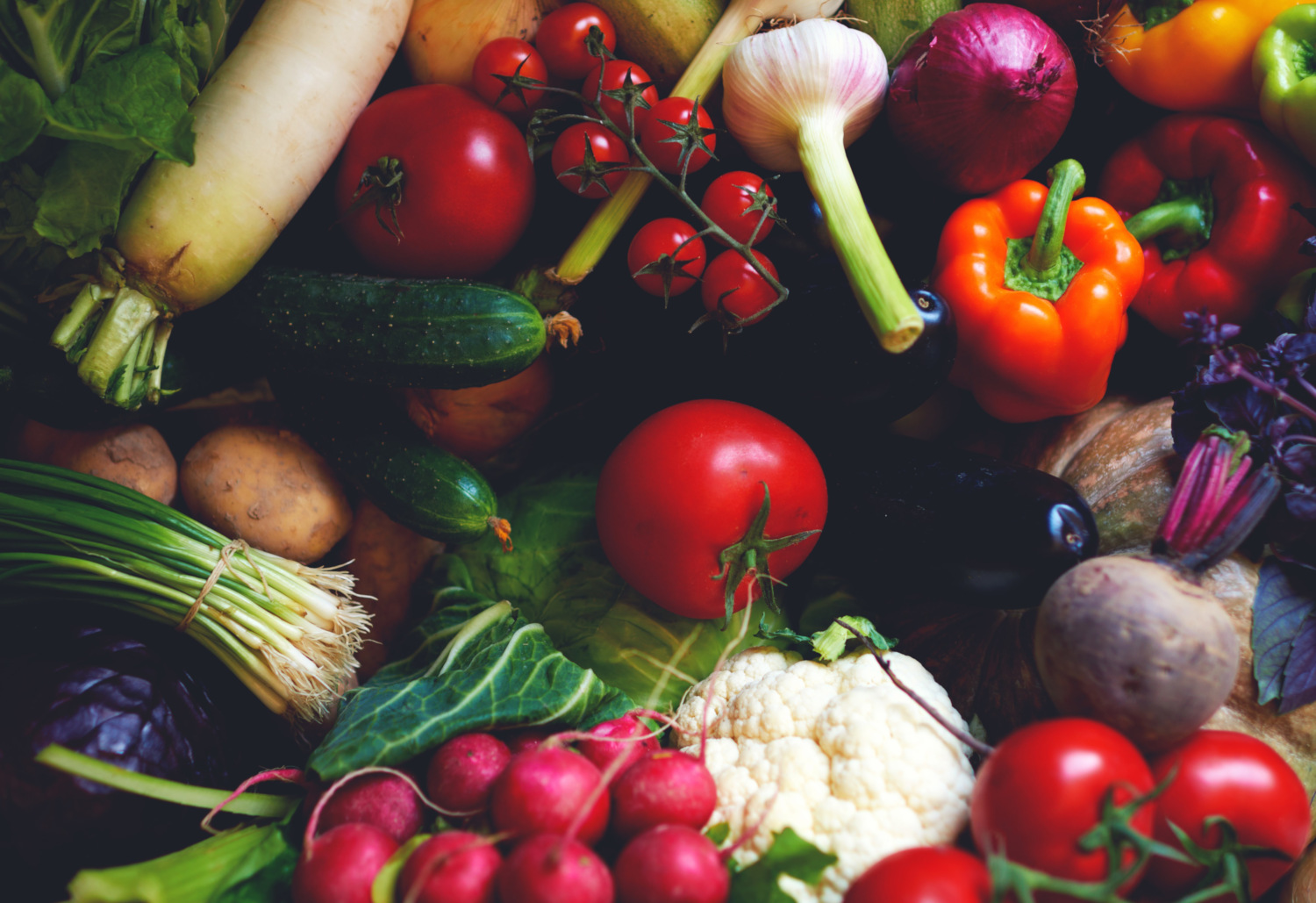 食物的真相,大卫·凯兹博士的新书,总统真正的健康计划,挖掘通过谎言和时尚健康饮食和科学显示,清楚地向我们表明,位于整个食品和饮食主要是植物最适合你的健康和这个星球。