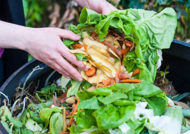 损失和浪费食物是全球粮食系统中普遍存在的问题,对人类健康和环境的巨大影响。