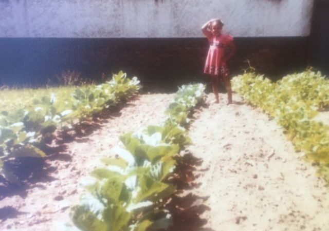 Aja亚希尔为种植粮食的权利而奋斗,良好的心理健康在加里再生城市农场,印第安纳州。但是,这座城市不喜欢她的方法。
