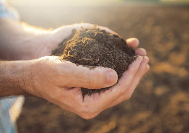 土壤碳封存成为农民和政客的主题相似但对话将区分可持续发展趋势?