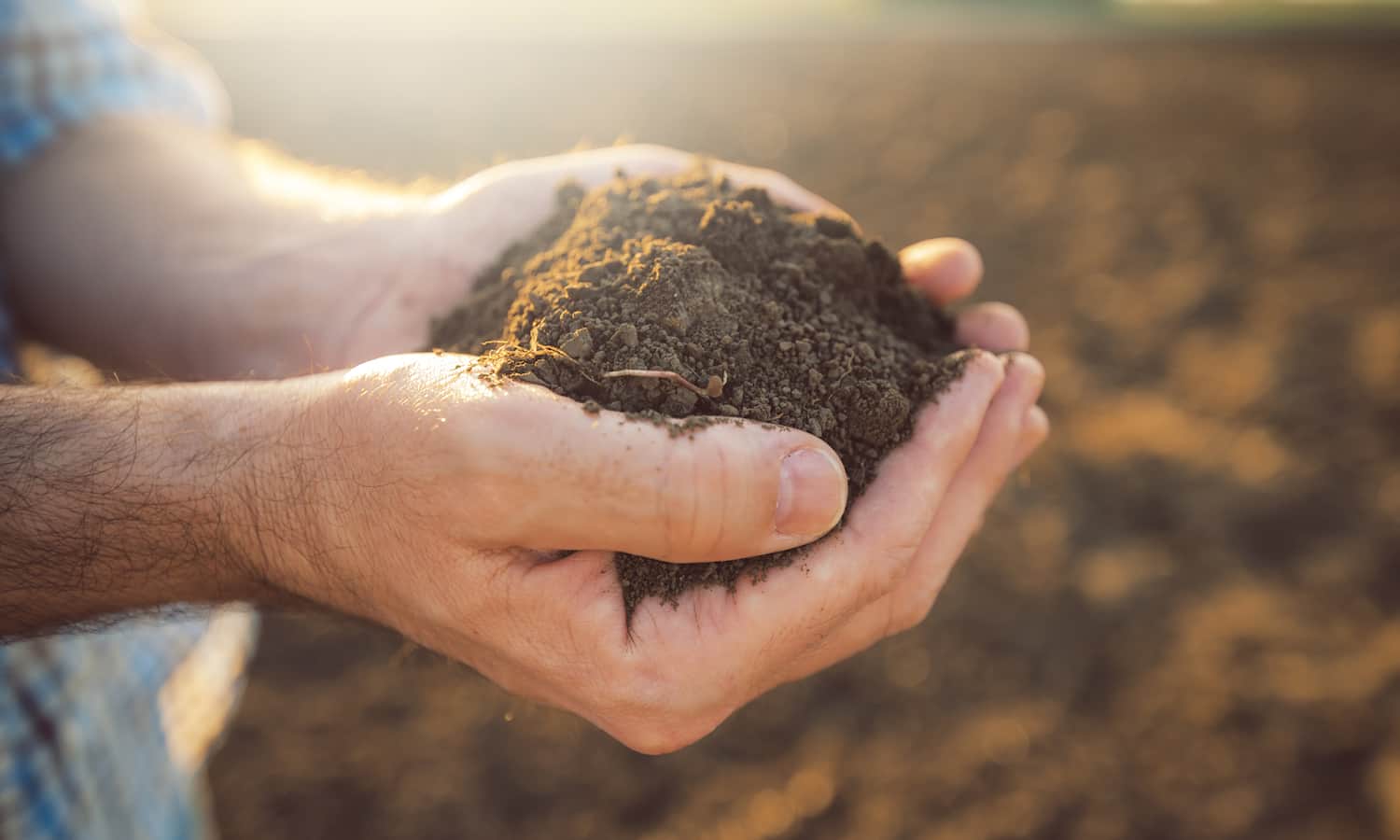 土壤碳固存成为农民和政客的话题，但是哪些对话会将可持续性与趋势区分开来？