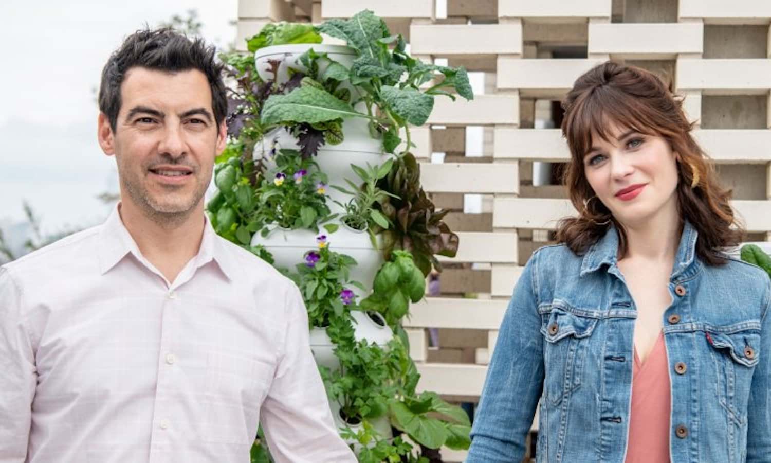 好莱坞制片人Pechenik雅各和他的妻子,女演员左伊德斯,开始了农业项目和生菜长到让人更接近农场。