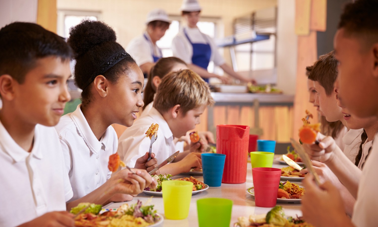 学校花园计划有很多好处，从更好的营养到改进的学习成绩，可以提高自助餐厅午餐的质量。