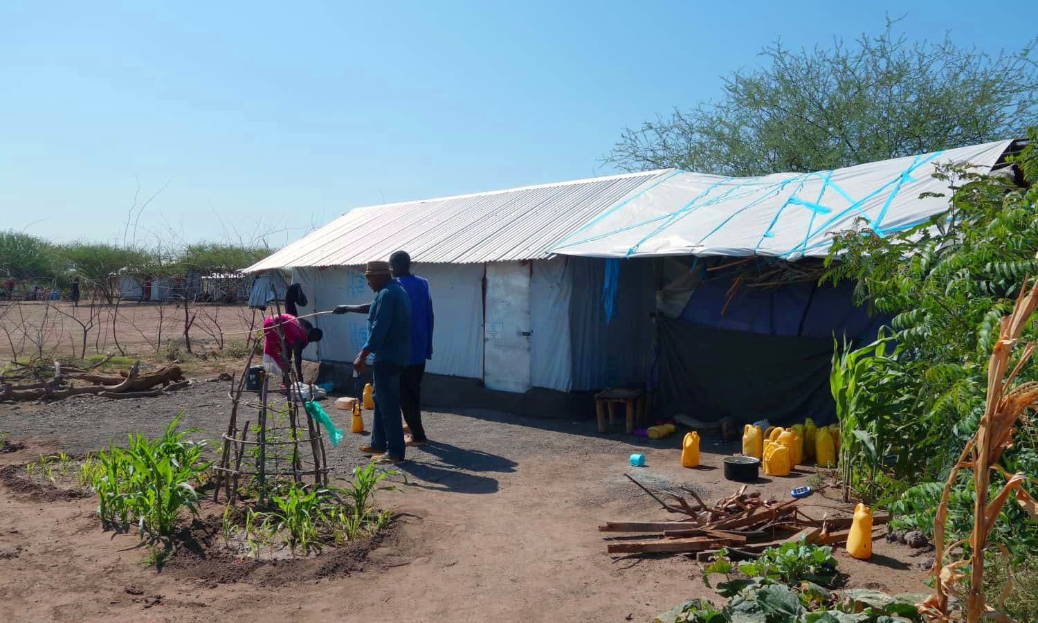 对于居住在肯尼亚北部Kalobeyi定居点的难民来说，城市农业可能是确保生计的可行策略。