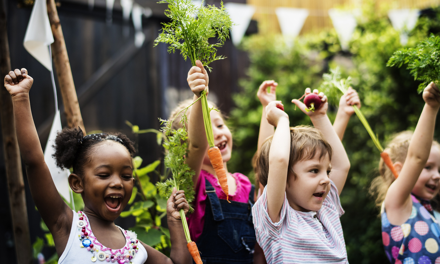 加州州长加文•纽森宣布了一项预算,提出8000万美元的学校食品项目服务350万多名儿童