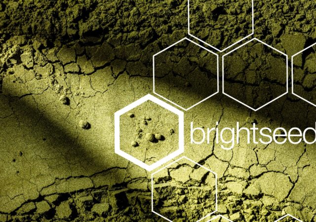 Brightseed将使用人工智能识别未知的化合物,在大豆和预测植物的先前未被发现的健康益处。