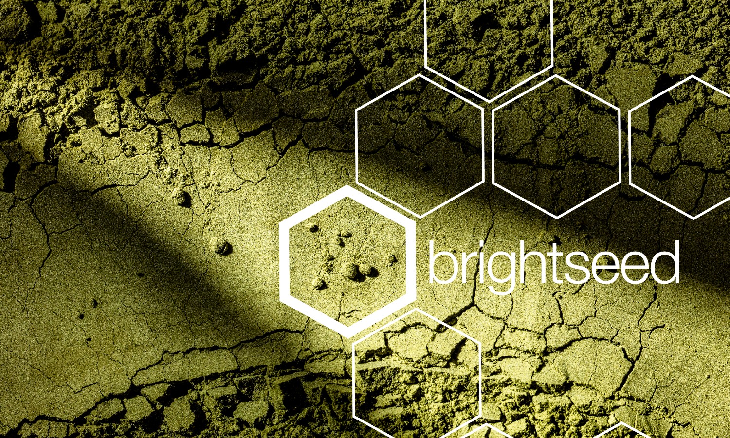 Brightseed将使用人工智能识别未知的化合物,在大豆和预测植物的先前未被发现的健康益处。