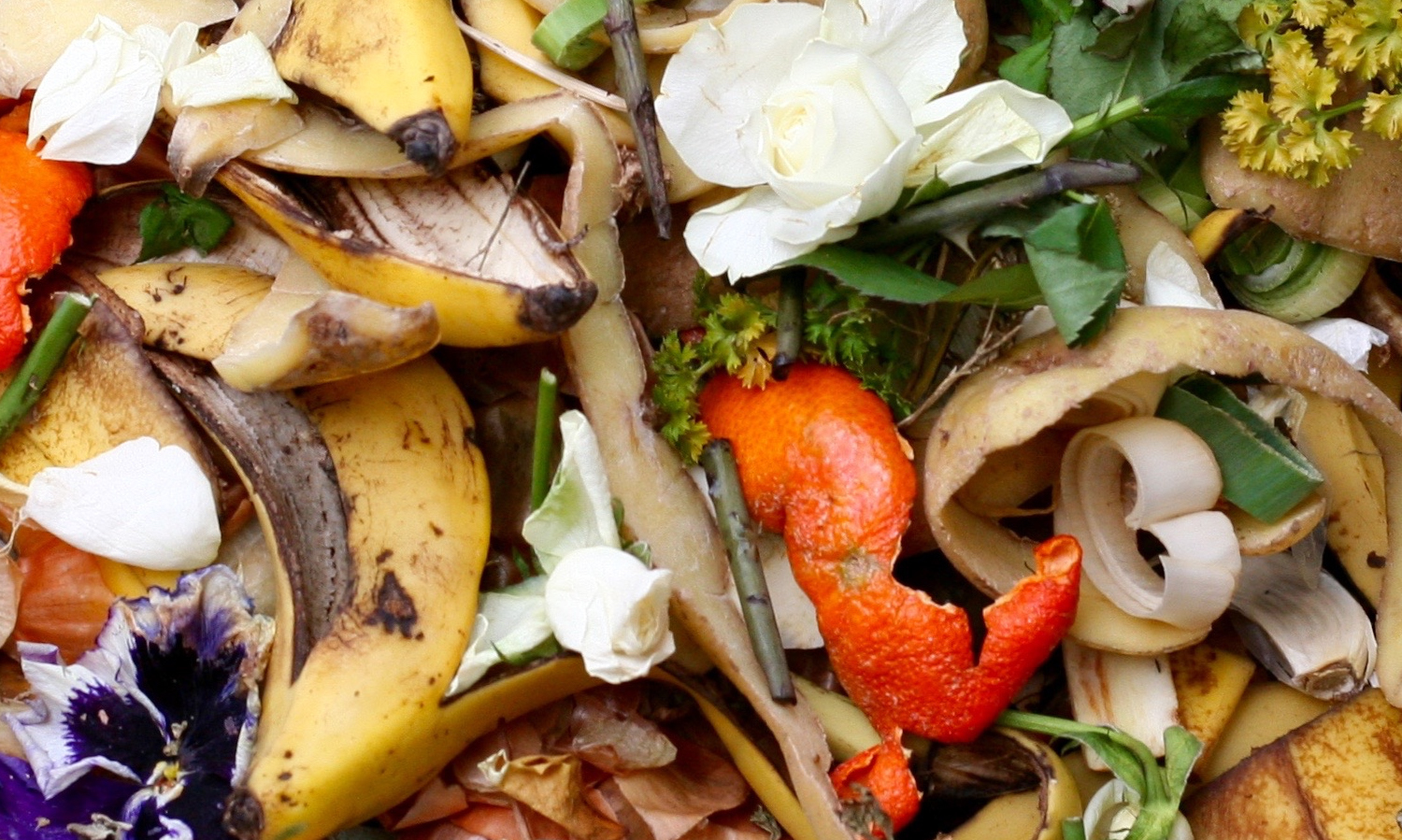 12个组织从以前创建食品食物浪费