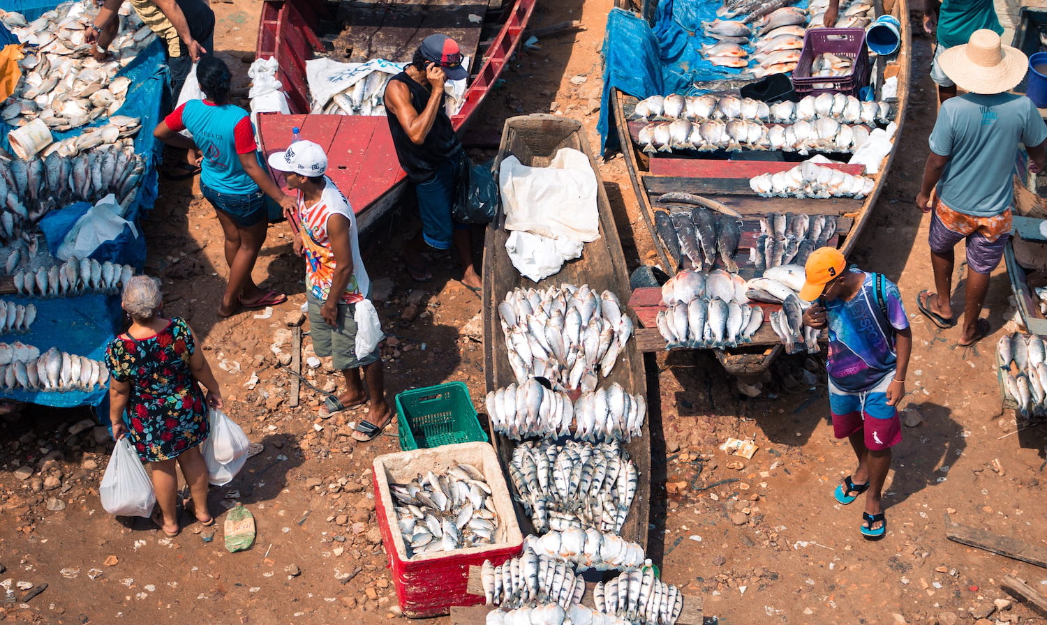 从清洗世界海洋支持当地的渔民,全球组织朝着一个更可持续的渔业。