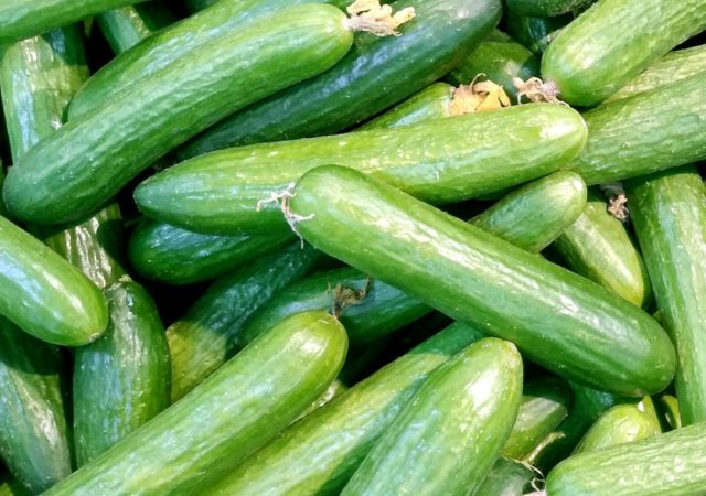 Apeel和Houweling集团合作推出塑料黄瓜在沃尔玛增加货架寿命和降低塑料和食品浪费。