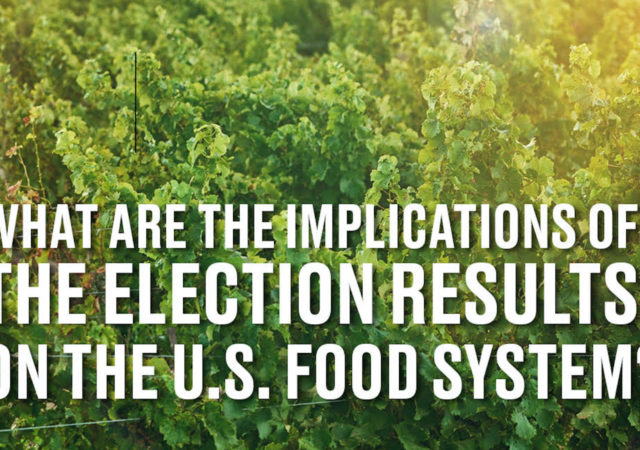 食物系统选举是什么意思?