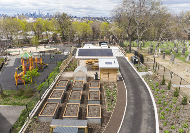 纽约布鲁克林的非营利社区花园修补中央艺术和堆肥项目
