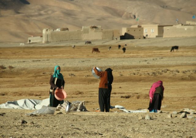 阿富汗牲畜的农民越来越容易受到气候危机和政治动荡后,塔利班接管。