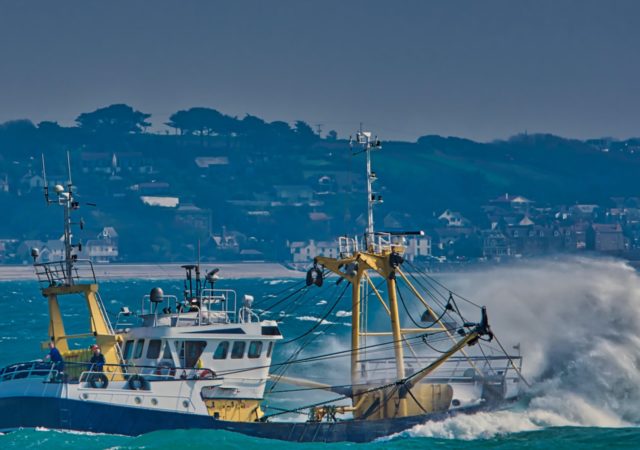 建立可持续海鲜供应链