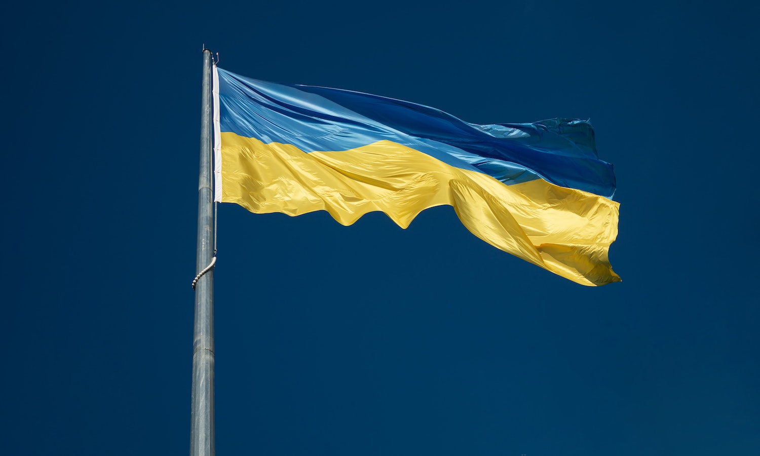 这12个组织正在帮助乌克兰人受到暴力的影响