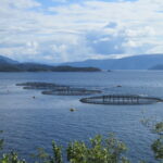 Global Seafood Alliance Launches Consumer-Facing Website to Raise Awareness of Sustainable Aquaculture