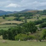 新的威尔士农业法案可能会促进可持续生产