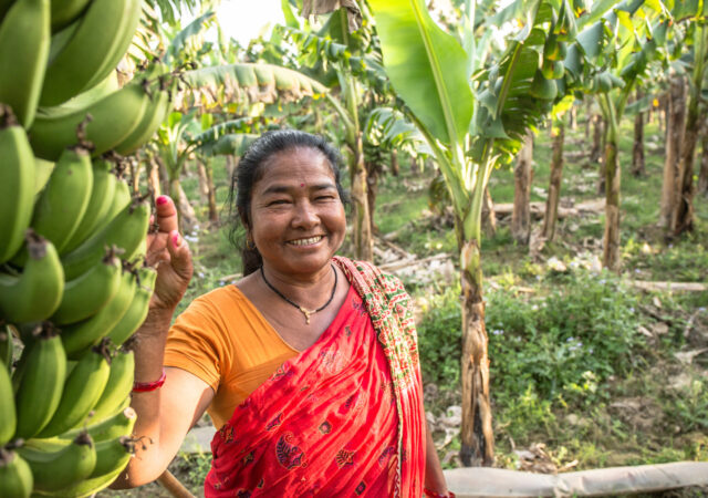 全球发展的明显的盲点:小农女性农民的力量