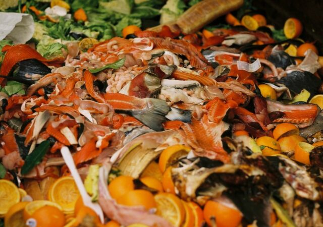 新的食物垃圾数据。我们的食物系统的数字是什么意思?