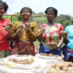 资金对卢旺达的未来食品和营养需求